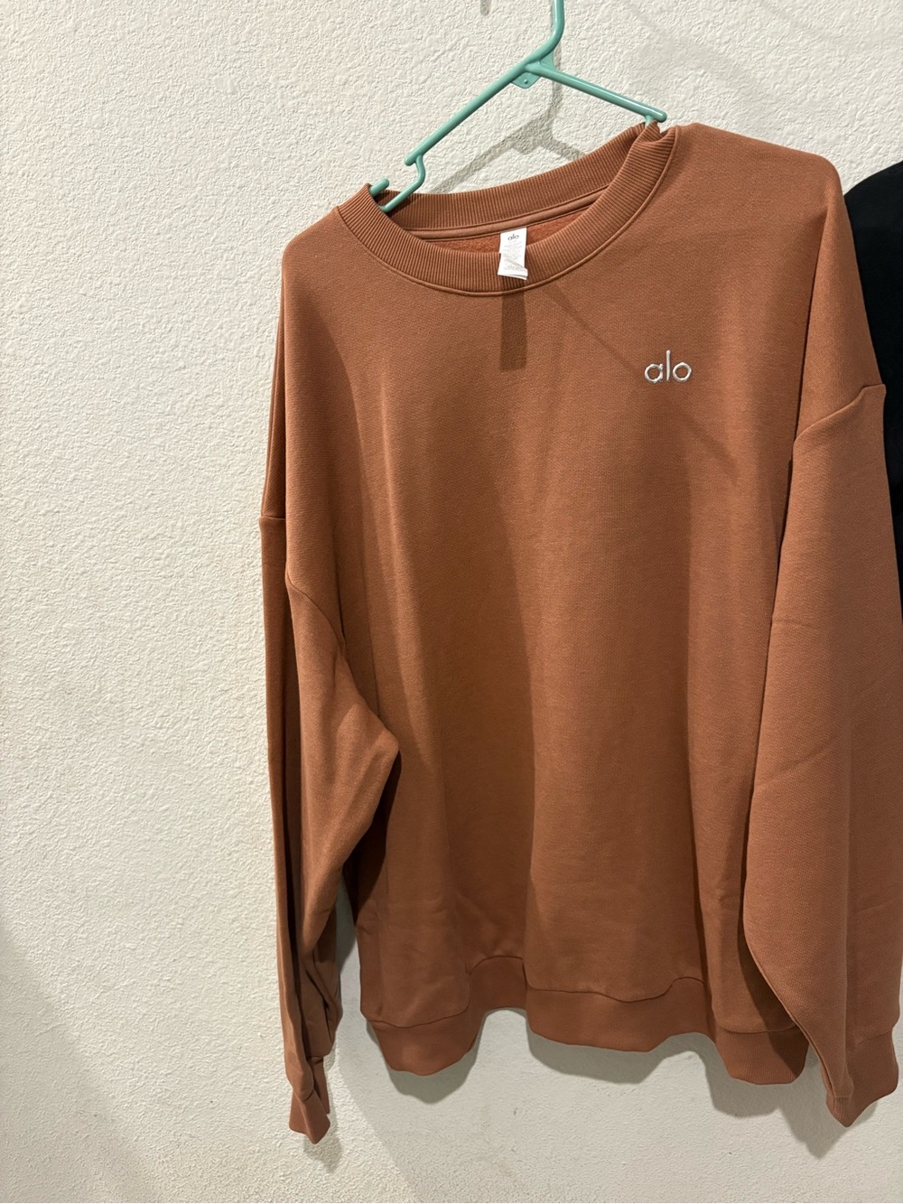 ALO Yoga women’s or Men's Crewneck Sun kissed brown L